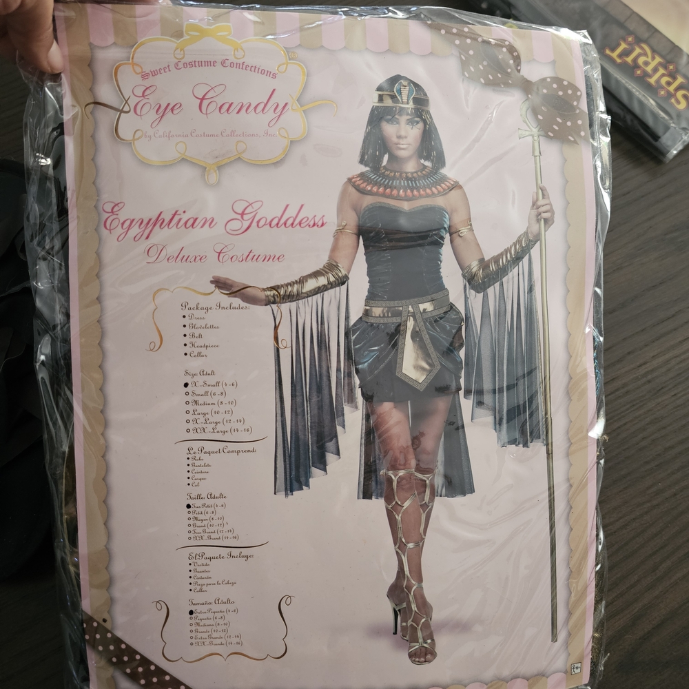 Eye Candy Egyptian Goddess Costume